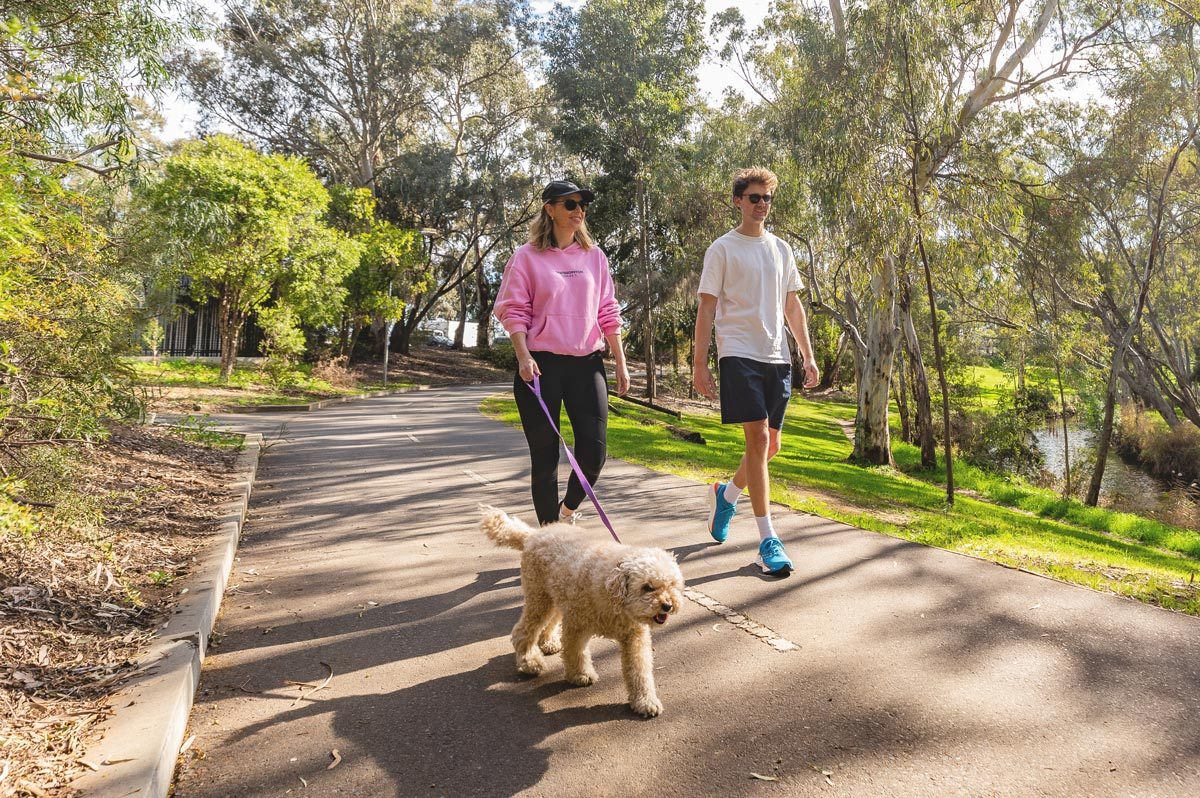 Lifestyle sj linear park walking