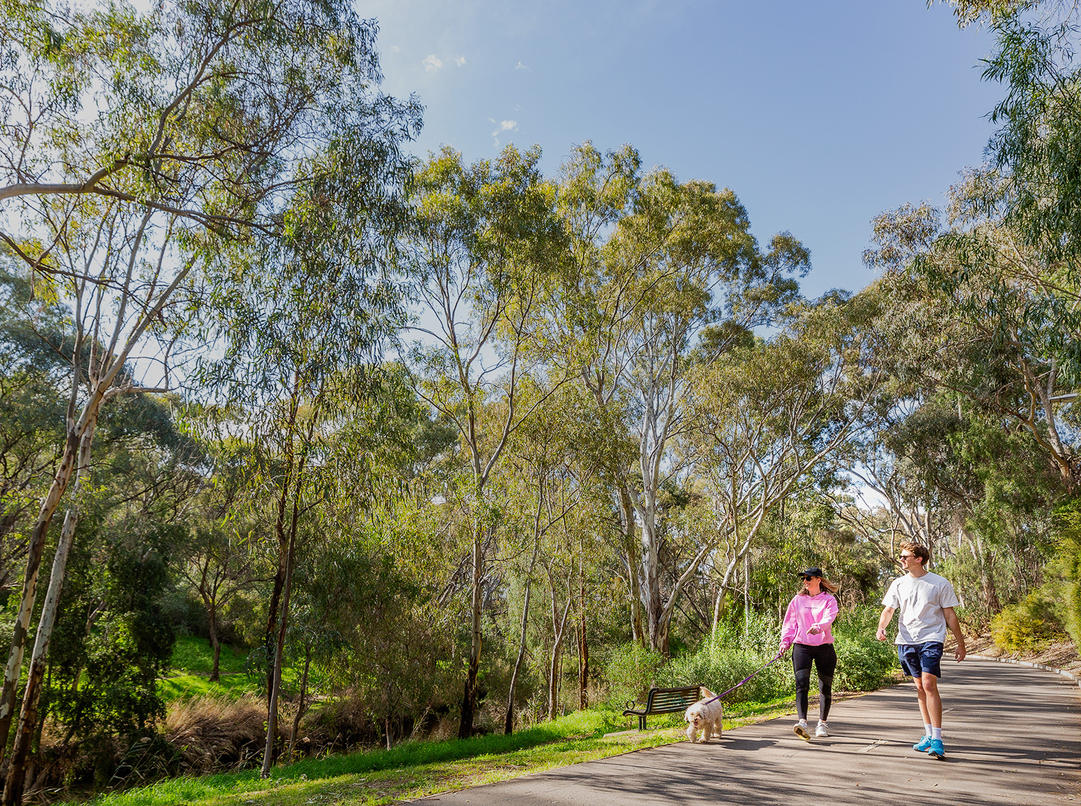 Walking trail linear park adelaide